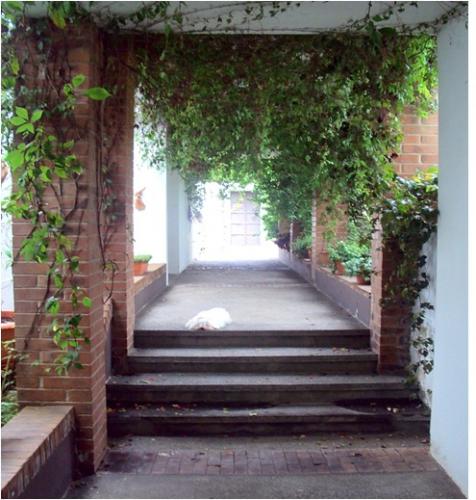 Casa en venta zona 16 La Montaña