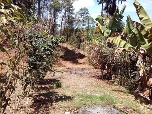 TERRENOS PLANOS BARATOS LISTOS P/CONSRUIIR 10x17 SN JUAN SAC. COMUNIDAD RUIZ