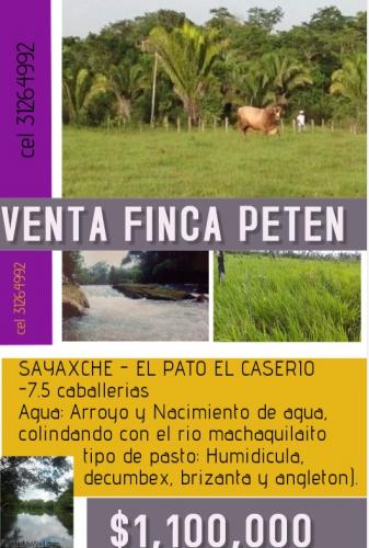 Venta FINCA - PETEN , SAYAXCHE 