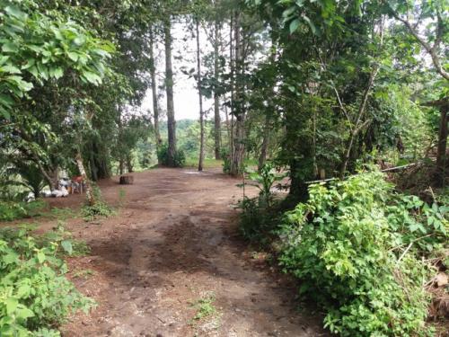 Vendo Terreno en Muxbal