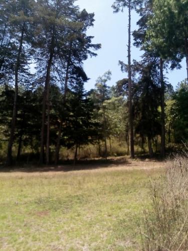 Chimaltenango Terreno de 10x30mts