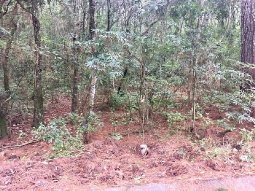 Terreno en venta El Encinal