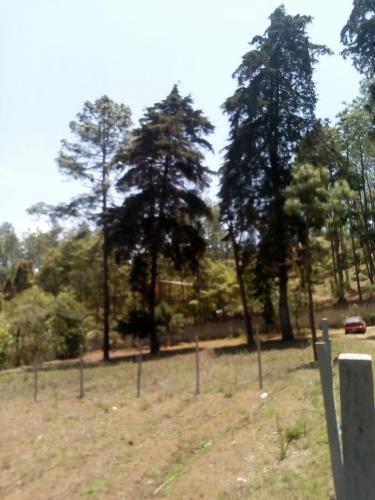 Chimaltenango, V/Terreno cerca de Finca la Loma