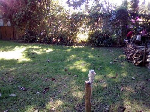 CITYMAX ANTIGUA VENDE TERRENO EN SAN LUCAS, POR VIVERO EL PARAISO