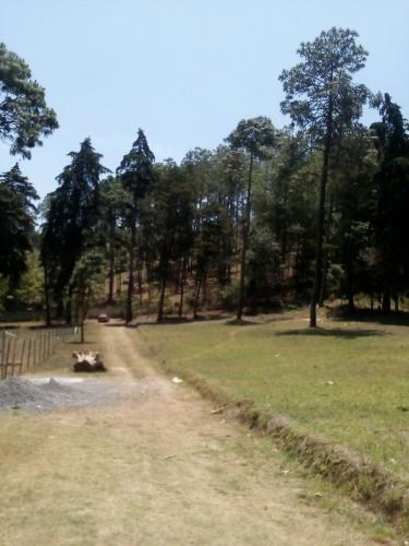 Chimaltenango Vendo/terreno de 444.20 varas