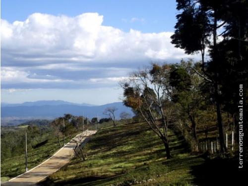 C/Salvador, terreno de 502.63vrs2