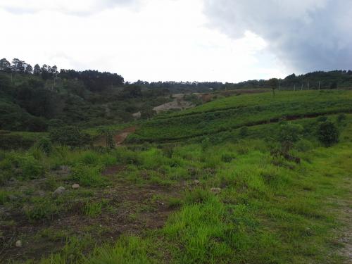 Carretera al Salvador, terreno de 502.63vrs2.