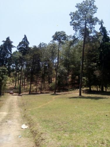 Chimaltenango Terreno de 10x30mts