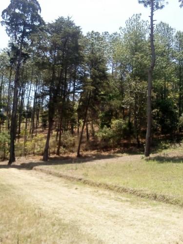 CHIMALTENANGO, cerca de Finca La Loma 