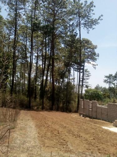 CHIMALTENANGO, cerca de Col. Santa. Otilia