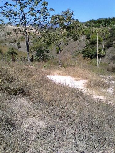 Vendo terrenos en Agua Caliente
