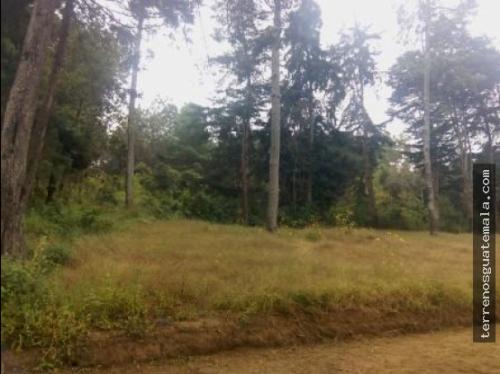 Invierte en el mejor lugar.