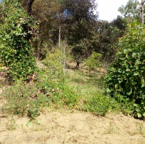 TERRENO EN TULUMAJE EL RANCHO 