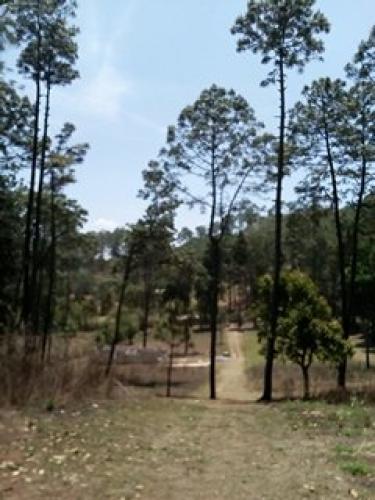 Terreno rodeado de naturaleza en Chimaltenango.