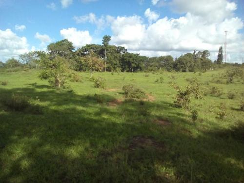 PRECIOSO TERRENO A 1,500 METROS DEL ÁREA COMERCIAL DE CIUDAD QUETZAL