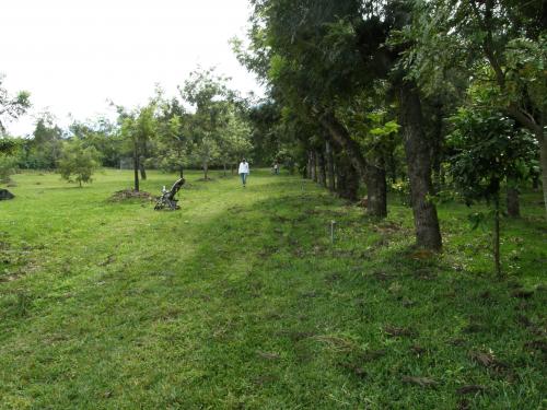 TERRENO EN SAN PEDRO LAS HUERTAS, IDEAL PARA DESARROLLO URBANÍSTICO