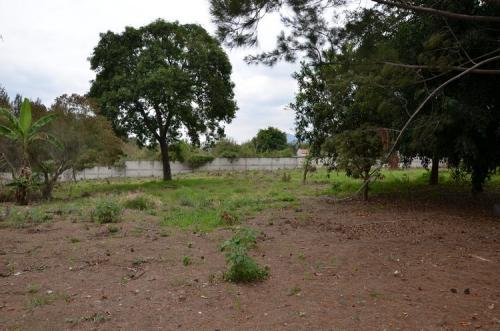 Citymax promueve terreno ideal para Desarrollo en San Pedro el Alto