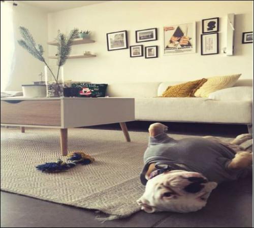 APARTAMENTO EN VENTA EN ZONA 16 / MUNDO INMOBILIARIO