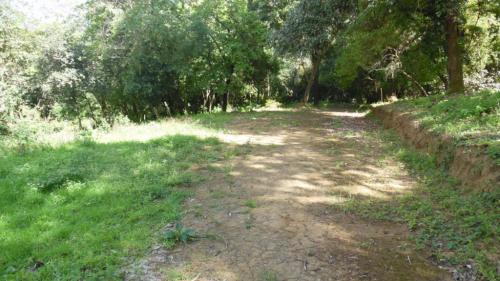 AMPLIO TERRENO EN KM. 32.5 CARRETERA A SAN LUCAS