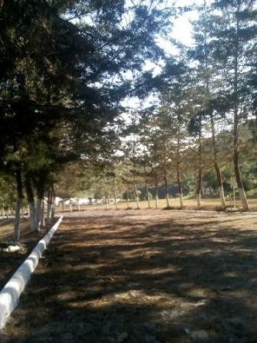 TERRENO EN CEMENTERIO EN SAN JOSE PINULA