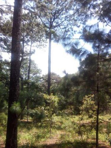 VENDO PRECIOSO TERRENO EN SAN JUAN SAC.