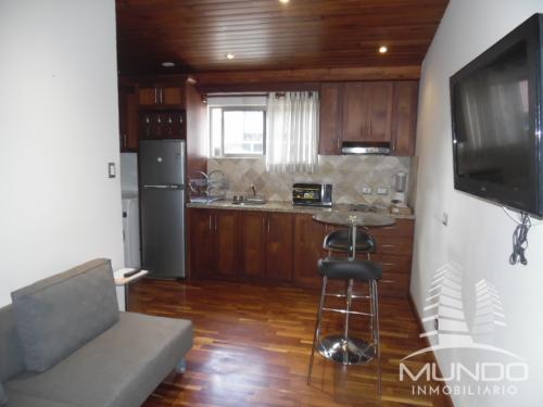 MUNDO INMOBILIARIO RENTA APARTAMENTO AMUEBLADO ZONA 15