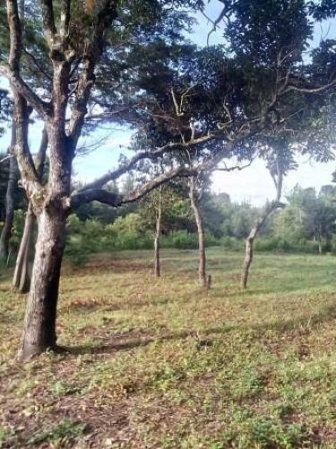 Bonito terreno en Chimaltenango a 5 minutos del parque.