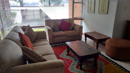 ALQUILO ZONA 16 APARTAMENTO AMUEBLADO CON VISTA ESPECTACULAR VERDE