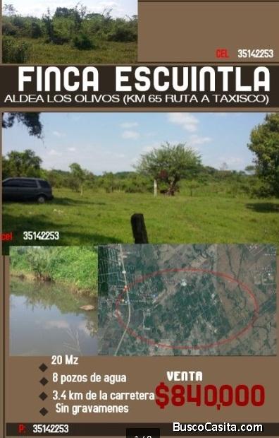 VENTA TERRENO EN ESCUINTLA, LOS OLIVOS