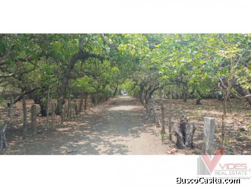 Venta Terreno en Monterrico.