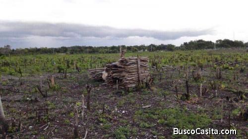 Finca en venta ubicada en San José Peten