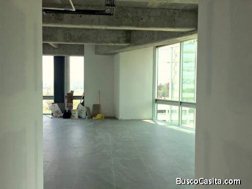 Oficina en renta zona 15 / Insigne