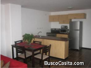 Apartamento amueblado y equipado en renta zona 10