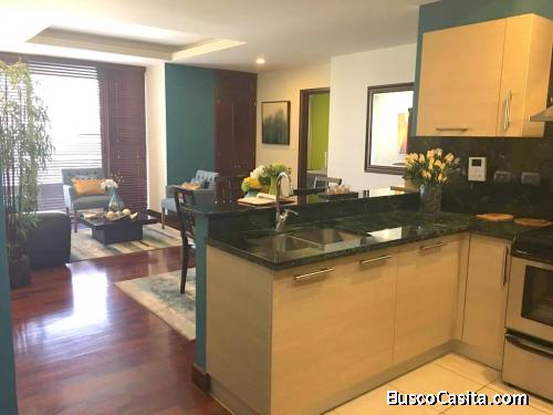 Apartamento amueblado y equipado en renta zona 10
