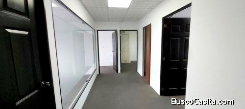 Oficina en renta zona 10 