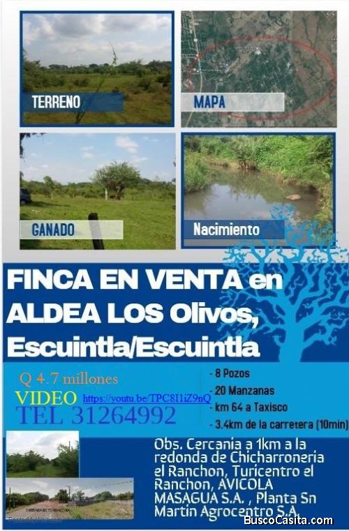VENTA TERRENO EN ESCUINTLA, LOS OLIVOS