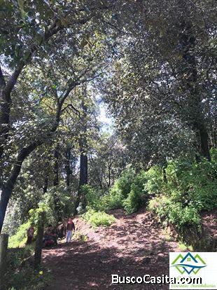 TECPAN TERRENO EN VENTA 