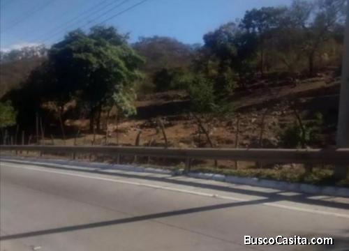 Terreno Carretera al Atlantico km 19.5