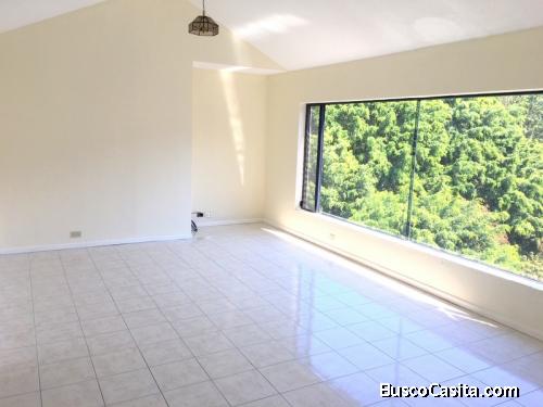 Apartamento en renta zona 10