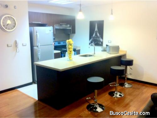 Apartamento amueblado y equipado en renta zona 14