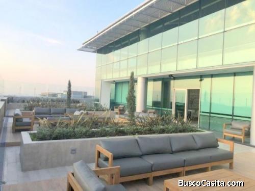 Oficina en renta zona 15 / Insigne