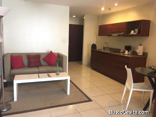 Apartamento en renta  zona 14 una habitación 