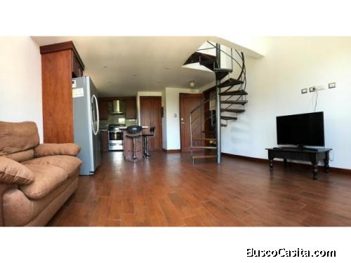 APARTAMENTOS AMUEBLADOS EN RENTA ZONA 16 SECTOR LA MONTAÑA