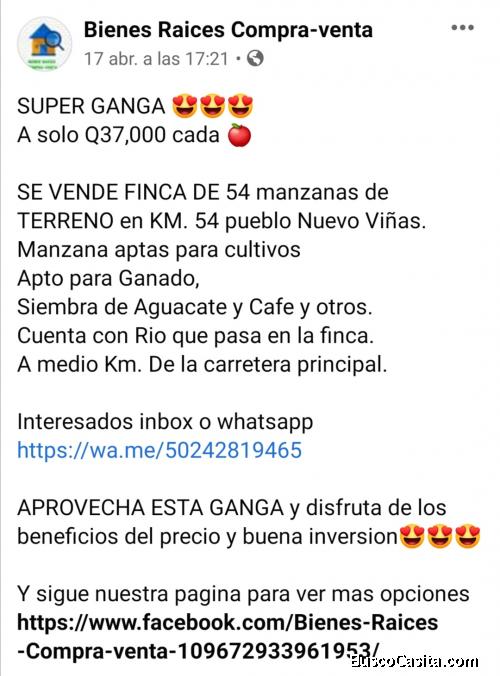 Venta de finca en pueblo nuevo viñas
