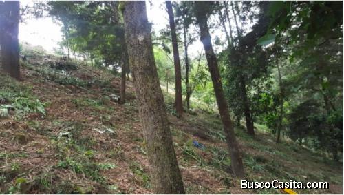 VENDO LOTE CAMINO LO DE DIEGUEZ POR COLEGIO SEK POR RANCHO VERDE