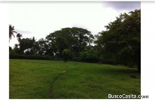 Alquilo Finca en Carretera al Puerto de San José También esta a la venta