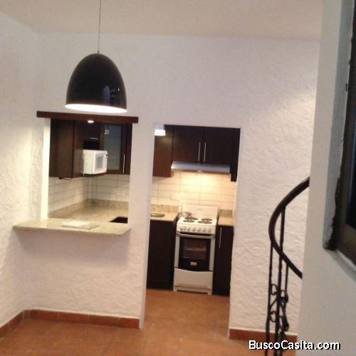 Alquiler Apartamento tipo Loft zona 15 Vista Hermosa 1