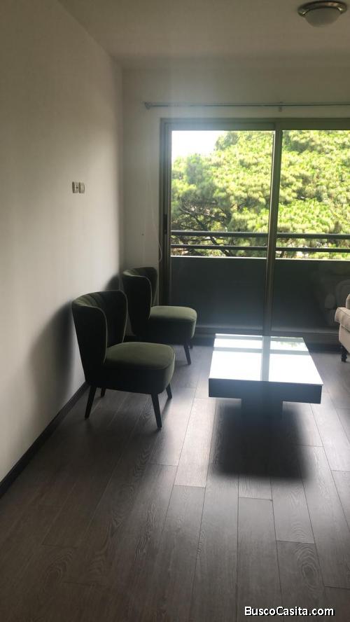 Apartamento en Renta zona 10  