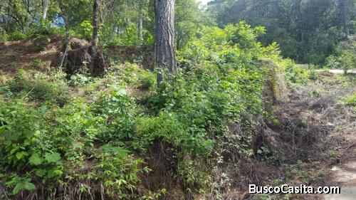 TERRENO EN VENTA EN ENCINAL ZONA 7 MIXCO TRONCO 2