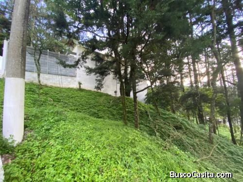 Citymax Gold Vende Terreno en Terravista
